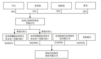 蚂蚁集团 半年狂赚212亿，毛利率达50%，科创板与港交所同步上市引领金融科技新浪潮