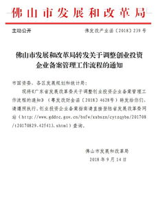 加强网络投资管理与咨询，助力南海经济稳健发展